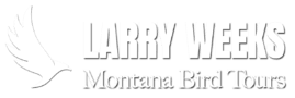 Montana Bird Tours - Larry Weeks - Logo